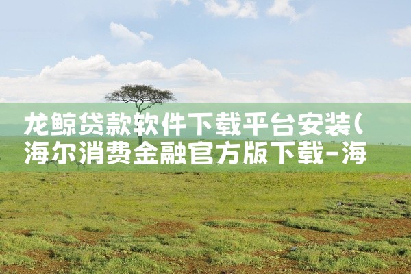 龙鲸贷款软件下载平台安装