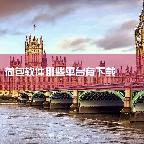 支付小荷包这类平台办理流程一般如下：首先在应用市场搜索相关软件并下载安装。打开软件后，通常会要求进行注册，可能是通过手机号注册，填写相关信息并设置登录密码。注册成功登录后，按照提示进行实名认证，这一步,