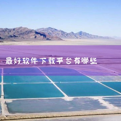 十大软件免费下载网站排行榜依次为：软天空、应用公园、酷安、豌豆荚、应用宝、MT管理器、360手机助手、茄子快传、小米应用商店和华为应用市场。这些网站各具特色，涵盖了各种不同类型的软件下载需求。例如，软,