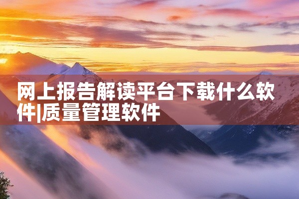 网上报告解读平台下载什么软件