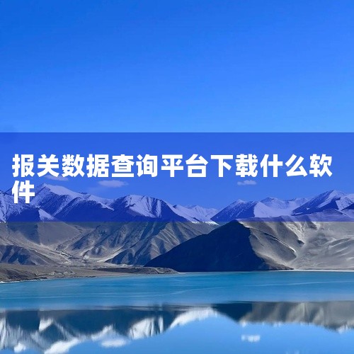 手机端：下载“掌上单一窗口”APP，用企业操作员账号登录，进入服务菜单的“业务办理”选项，选择出口退税报关单功能。操作步骤 电脑端：进入“中央标准应用”中的“出口退税”子系统，根据企业类型选择外贸或生|