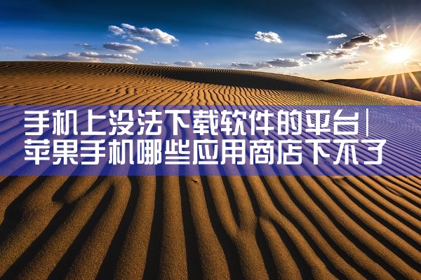 手机上没法下载软件的平台