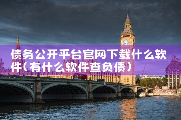 债务公开平台官网下载什么软件