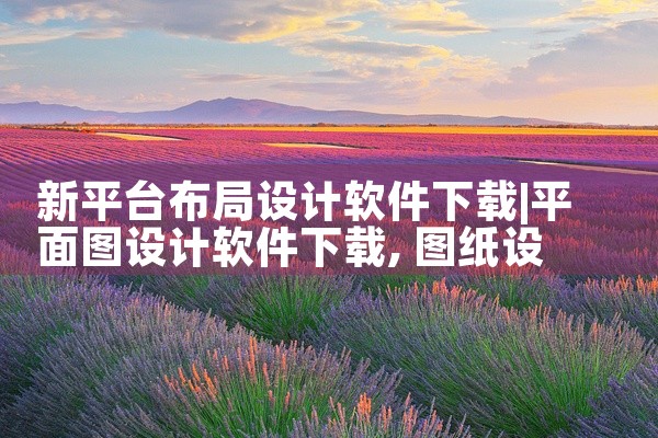 新平台布局设计软件下载