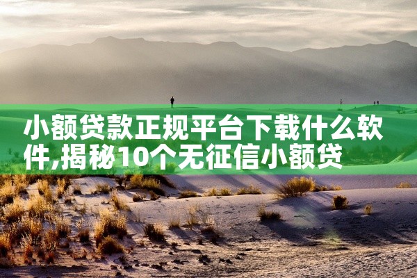 小额贷款正规平台下载什么软件
