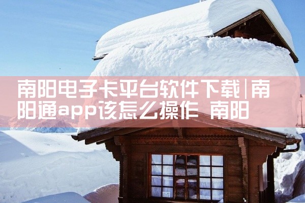 南阳电子卡平台软件下载