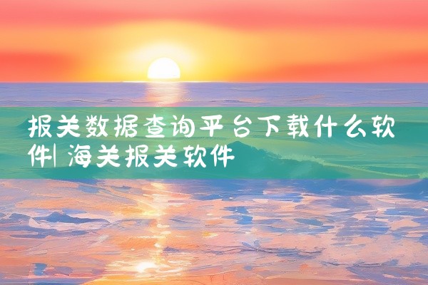 报关数据查询平台下载什么软件