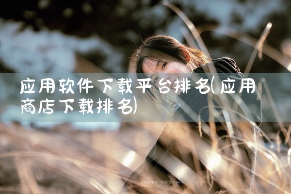 应用软件下载平台排名